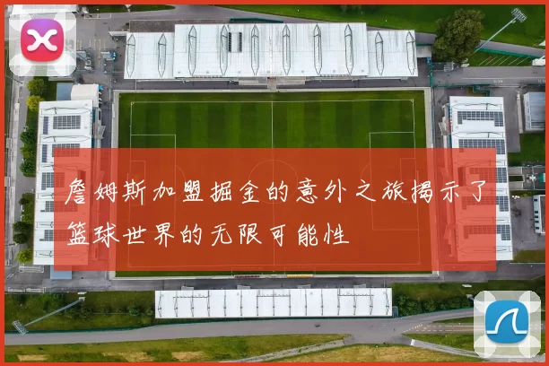 詹姆斯加盟掘金的意外之旅揭示了篮球世界的无限可能性