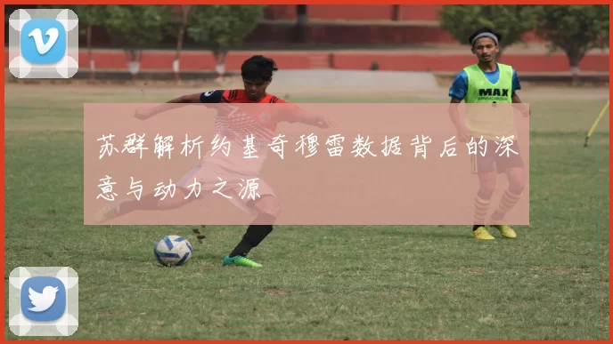 苏群解析约基奇穆雷数据背后的深意与动力之源
