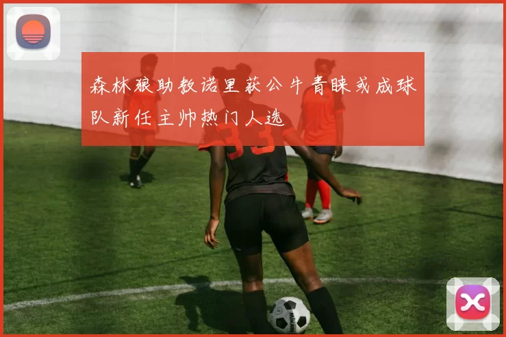 森林狼助教诺里获公牛青睐或成球队新任主帅热门人选